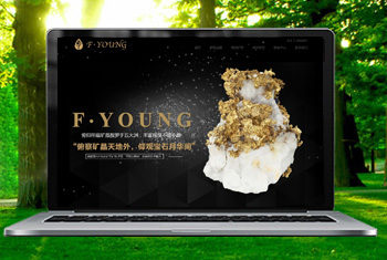 ͨ���������ﱦʯ